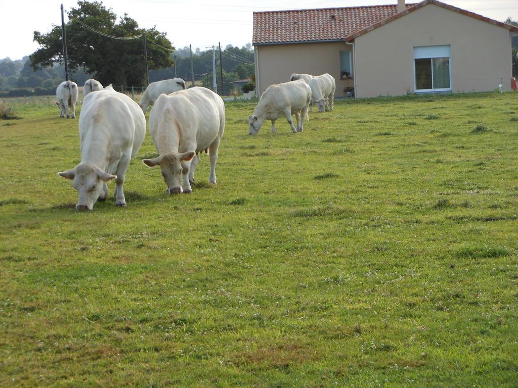 Chambre D'Hotes La Basse Gougeonniere Neuvy-en-Mauges Kültér fotó